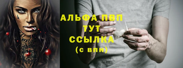 сатива Волосово