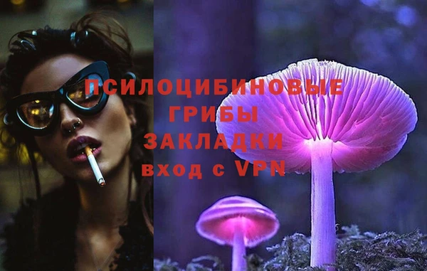 сатива Волосово