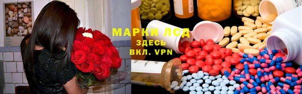 сатива Волосово