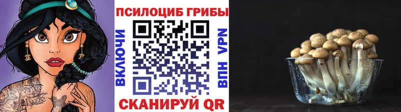Галлюциногенные грибы мицелий  продажа наркотиков  Рубцовск 